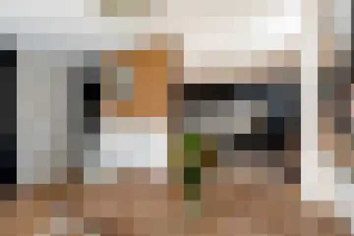 Botter 41 29 Lelystad thumbnail 8