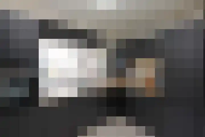 Botter 41 41 13 Lelystad thumbnail 12