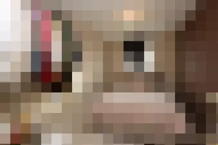 Botter 41 41 13 Lelystad thumbnail 15