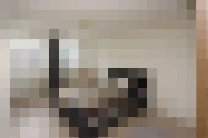 Botter 41 41 13 Lelystad thumbnail 18