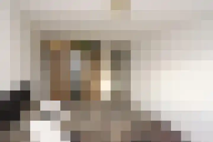 Botter 41 41 13 Lelystad thumbnail 20
