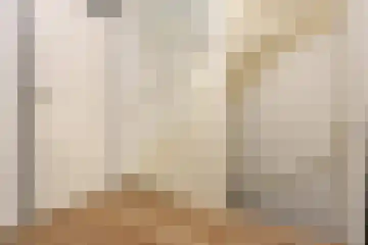 Botter 41 41 13 Lelystad thumbnail 28