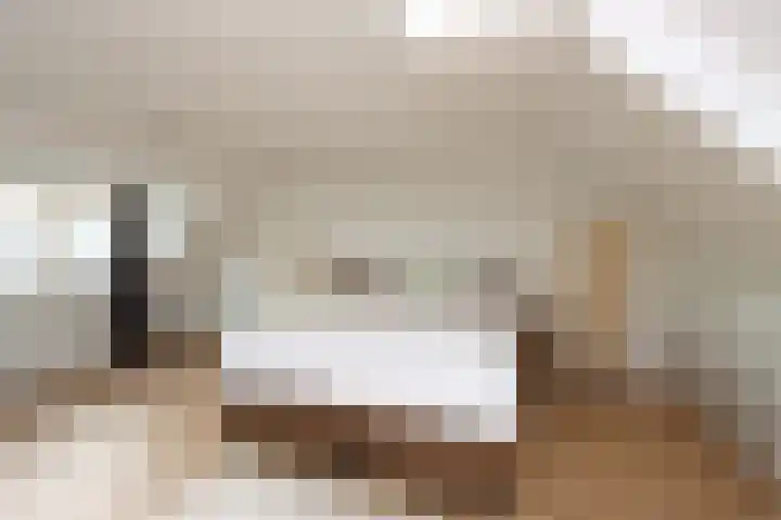 Botter 41 41 13 Lelystad thumbnail 29