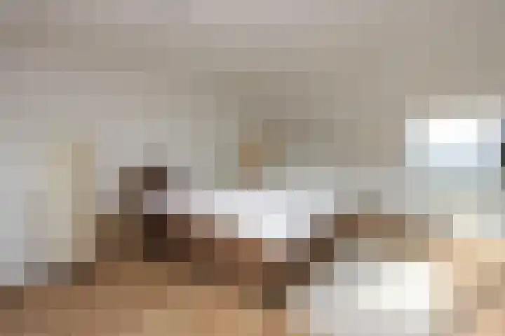 Botter 41 41 13 Lelystad thumbnail 30