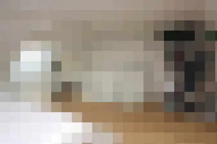 Botter 41 41 13 Lelystad thumbnail 32