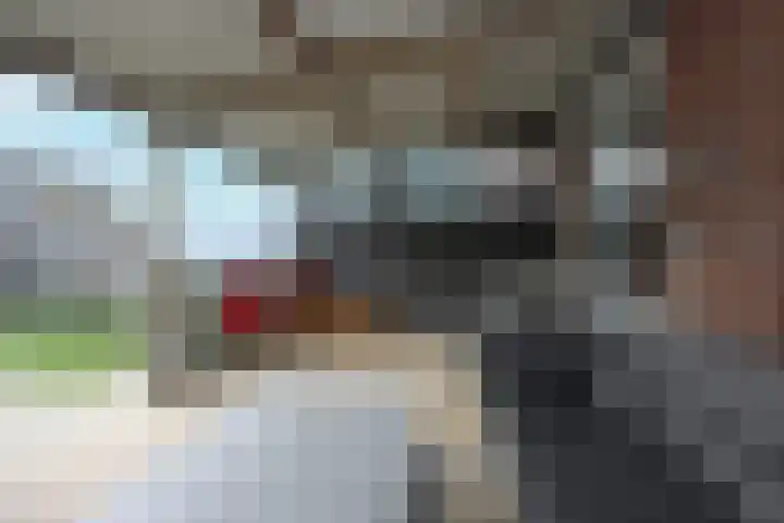 Botter 41 41 13 Lelystad thumbnail 34