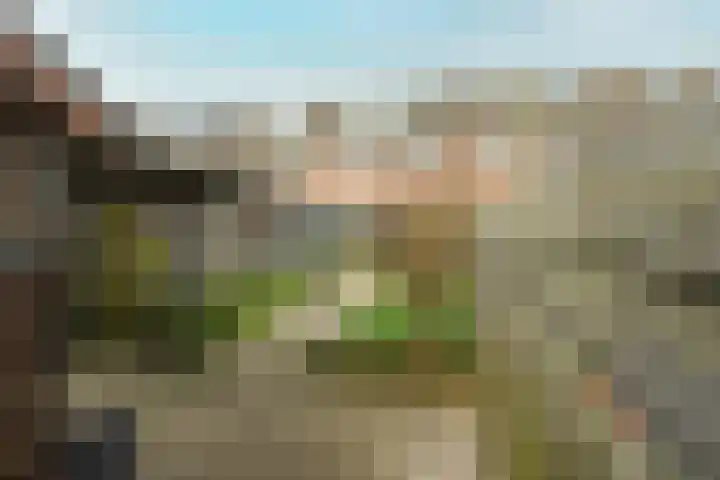Botter 41 41 13 Lelystad thumbnail 38
