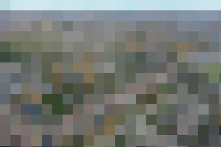 Botter 41 41 13 Lelystad thumbnail 40