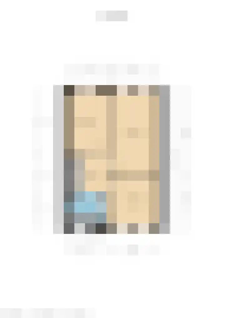 Botter 41 41 13 Lelystad thumbnail 43