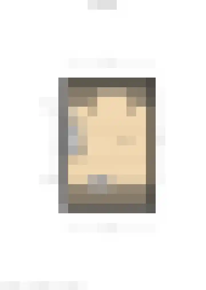 Botter 41 41 13 Lelystad thumbnail 44