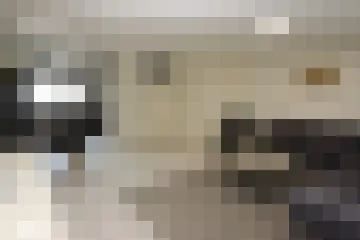 Botter 41 41 13 Lelystad thumbnail 8