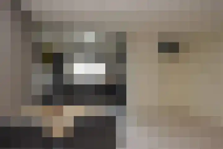 Botter 41 41 13 Lelystad thumbnail 9