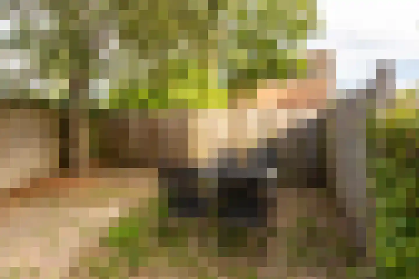 Botter 41 41 2-B Lelystad thumbnail 30