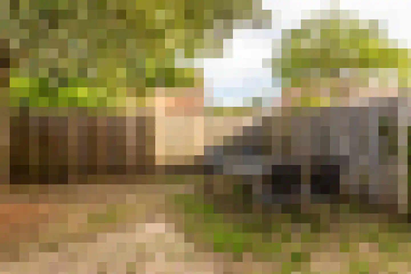 Botter 41 41 2-B Lelystad thumbnail 31