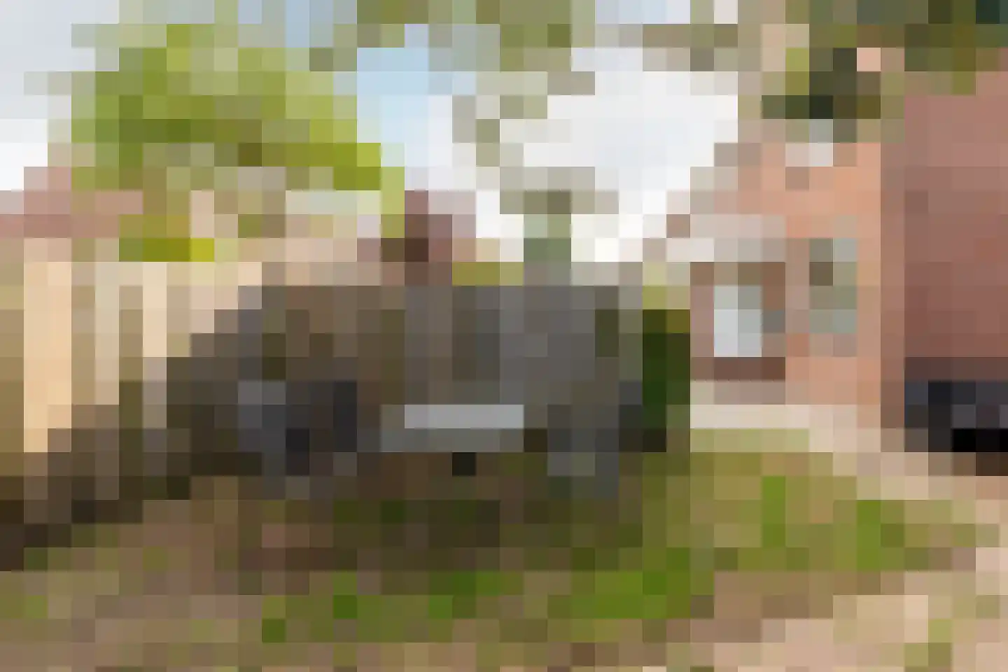 Botter 41 41 2-B Lelystad thumbnail 32