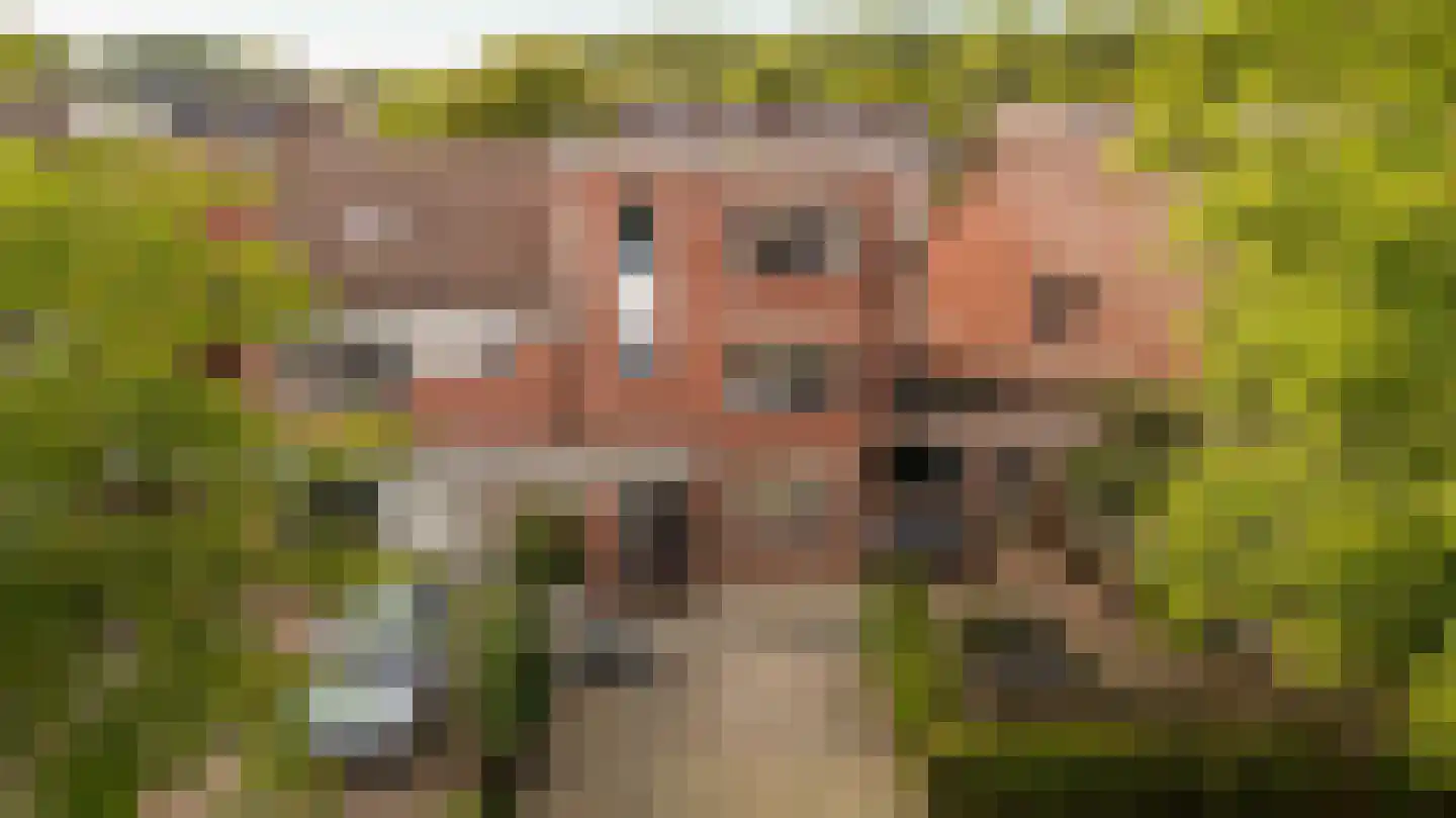 Botter 41 41 2-B Lelystad thumbnail 33