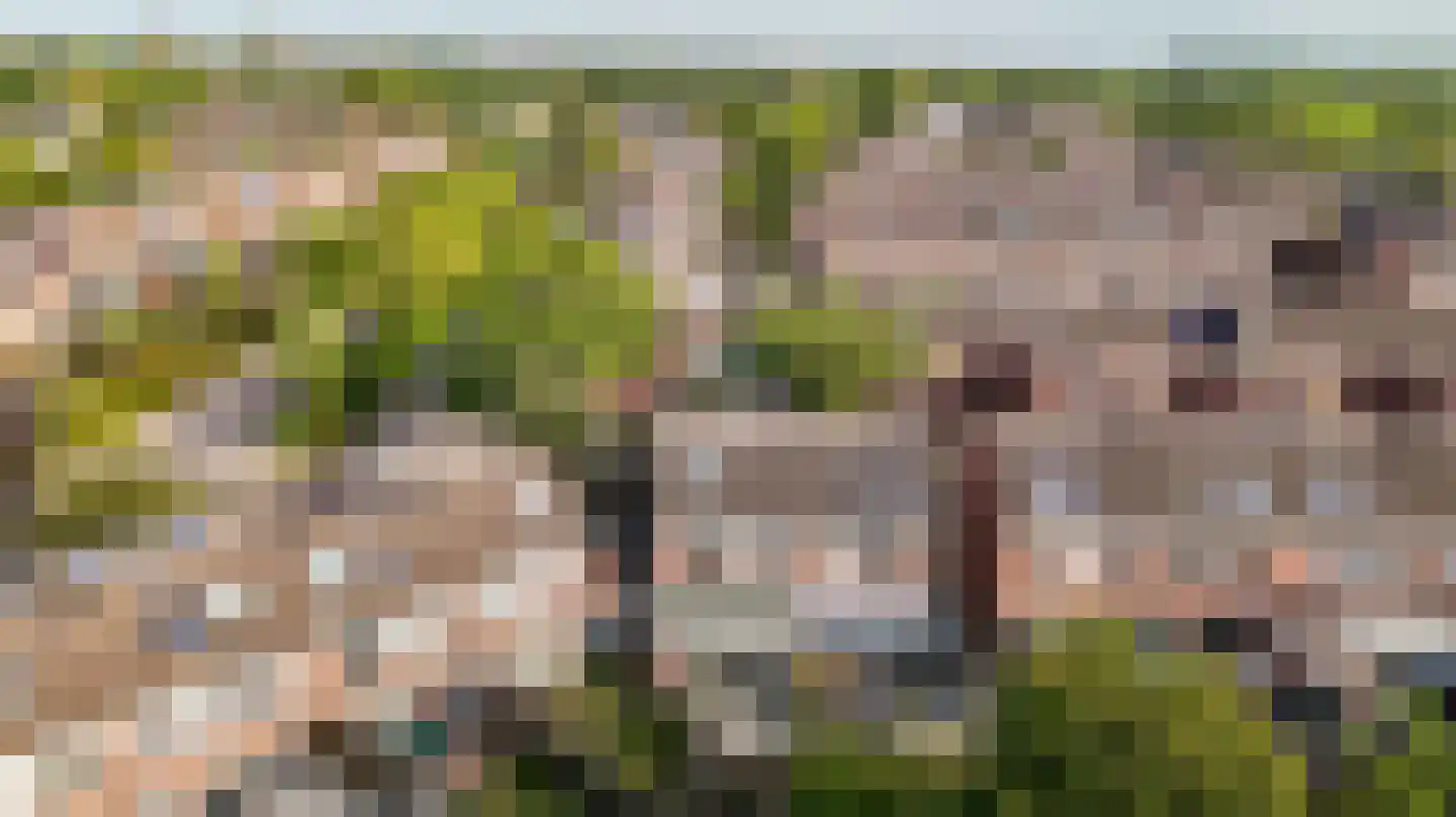 Botter 41 41 2-B Lelystad thumbnail 34