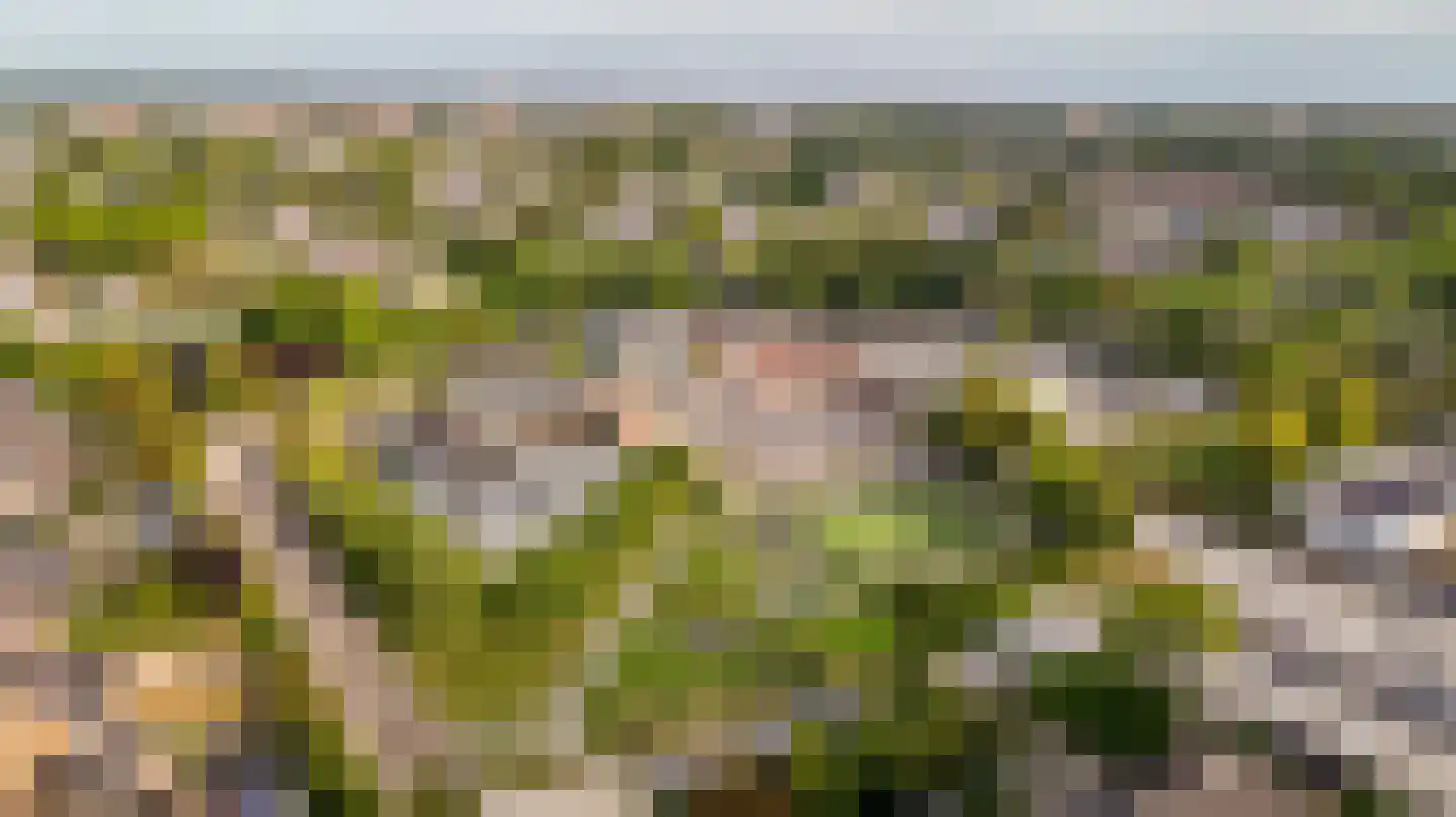 Botter 41 41 2-B Lelystad thumbnail 35