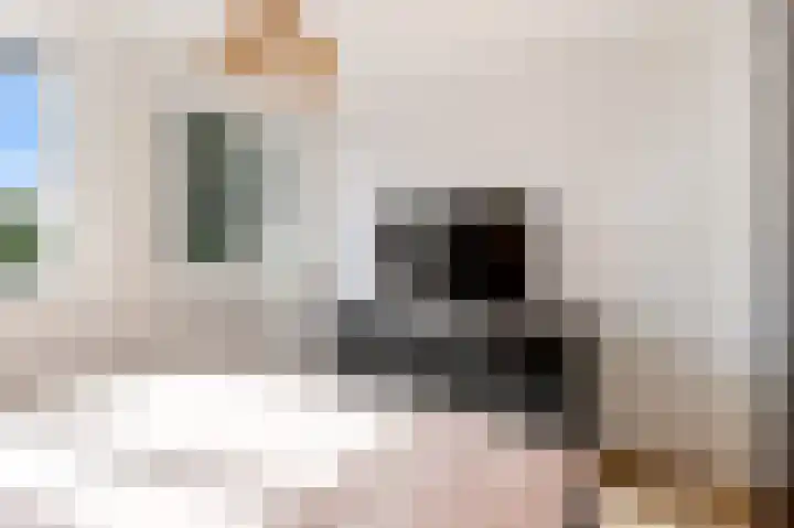 Botter 41 41 29 Lelystad thumbnail 16