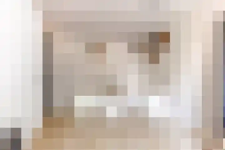 Botter 41 41 29 Lelystad thumbnail 17