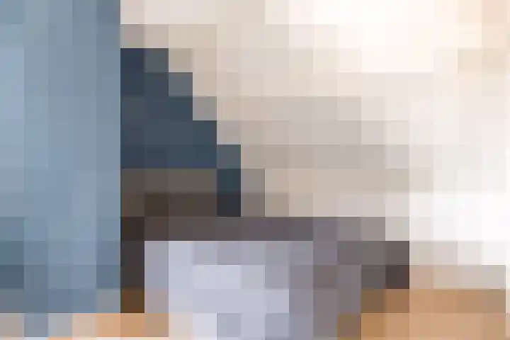Botter 41 41 29 Lelystad thumbnail 29