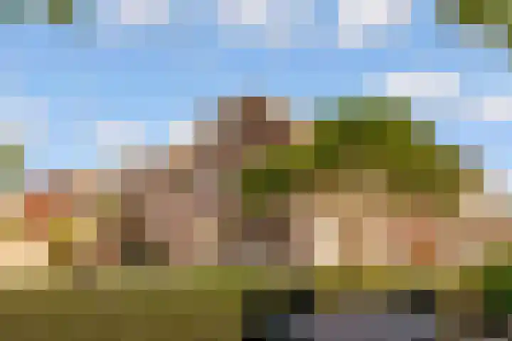Botter 41 41 29 Lelystad thumbnail 35