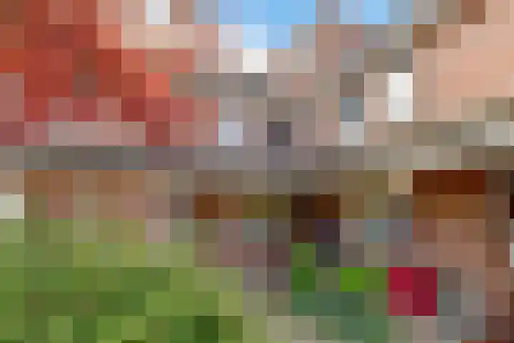 Botter 41 41 29 Lelystad thumbnail 39