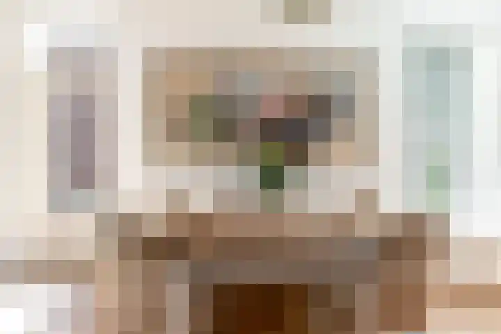 Botter 41 41 29 Lelystad thumbnail 7