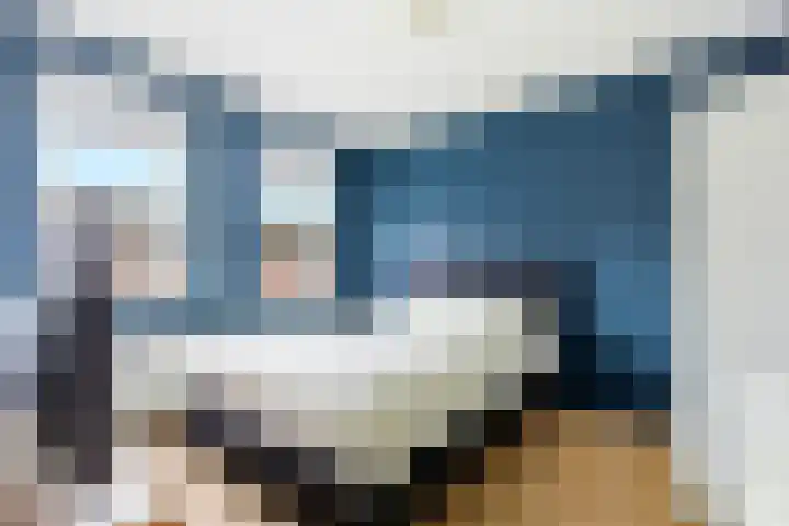 Botter 42 10 Lelystad thumbnail 19