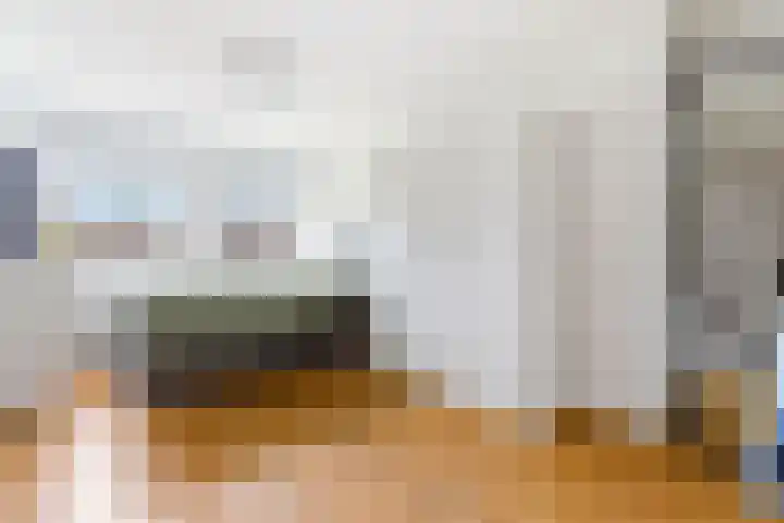 Botter 42 10 Lelystad thumbnail 22