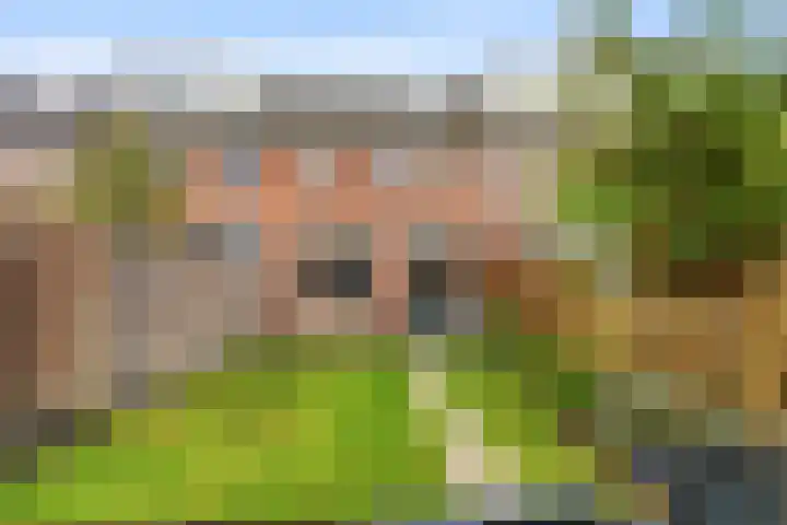 Botter 42 10 Lelystad thumbnail 32