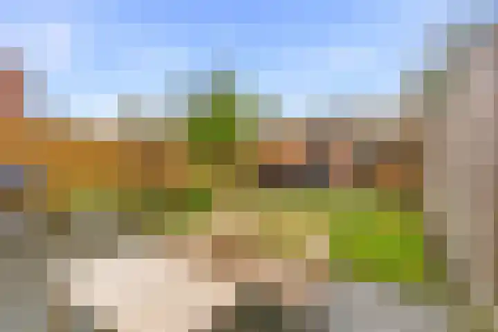 Botter 42 10 Lelystad thumbnail 33