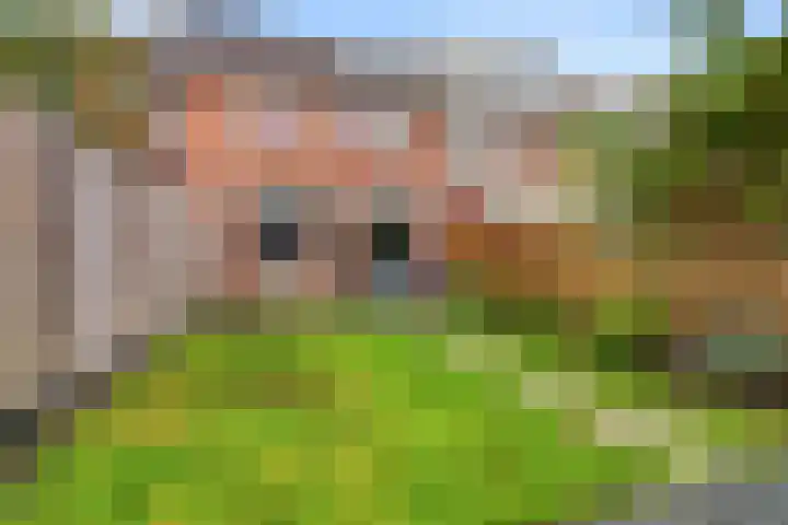 Botter 42 10 Lelystad thumbnail 34