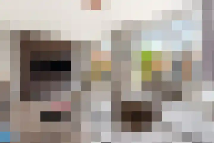 Botter 42 10 Lelystad thumbnail 9