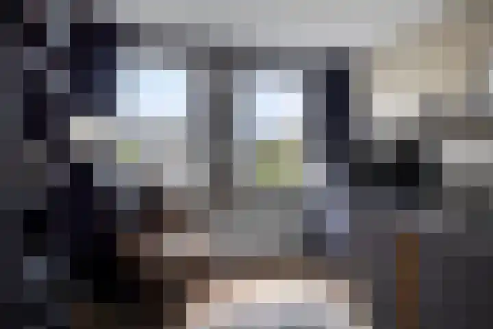 Botter 42 21 Lelystad thumbnail 14