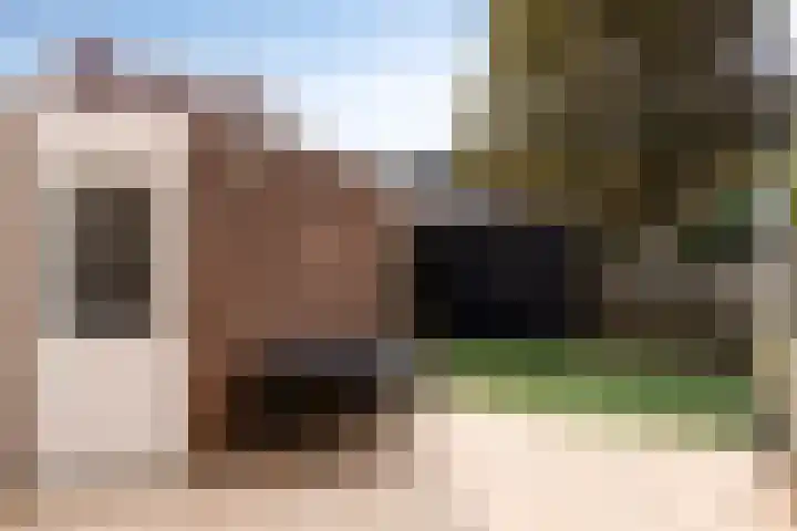 Botter 42 21 Lelystad thumbnail 18