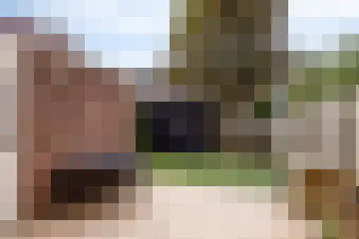 Botter 42 21 Lelystad thumbnail 19
