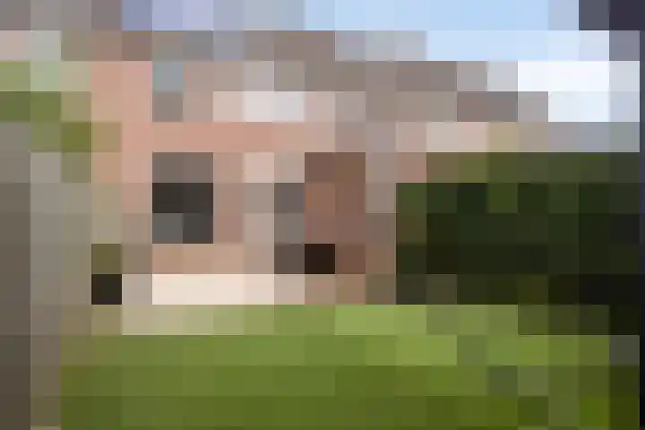 Botter 42 21 Lelystad thumbnail 20