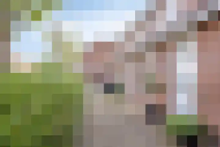Botter 42 21 Lelystad thumbnail 21