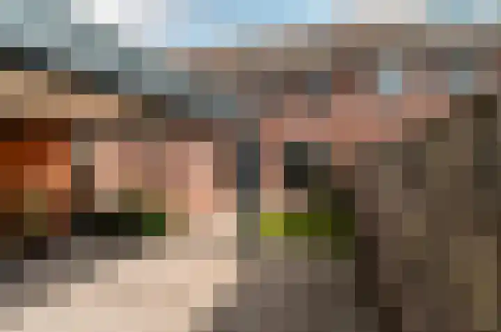 Botter 42 42 20 Lelystad thumbnail 34