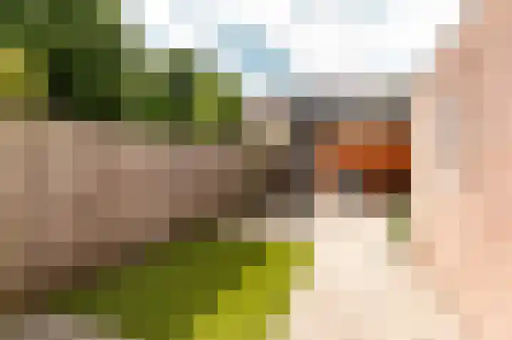 Botter 42 42 20 Lelystad thumbnail 36