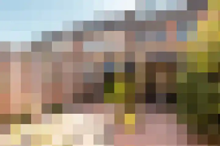 Botter 42 42 8 Lelystad thumbnail 23