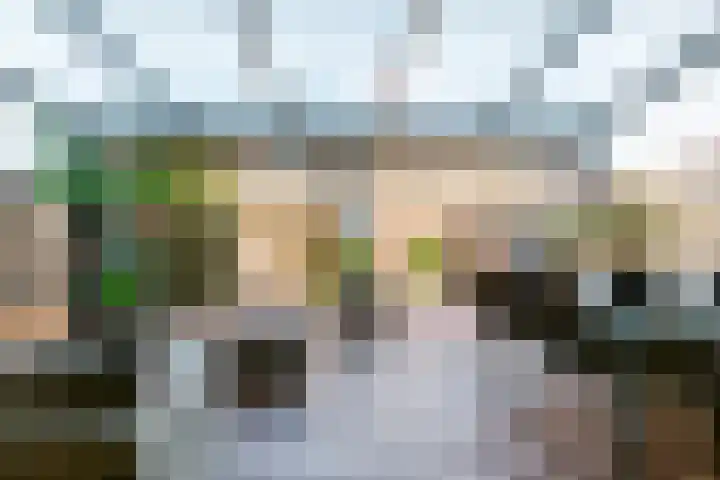 Botter 42 42 8 Lelystad thumbnail 25