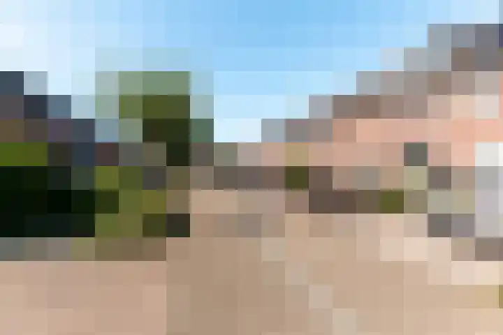 Botter 42 42 8 Lelystad thumbnail 27