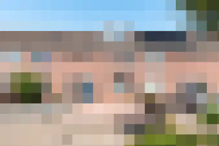 Botter 42 42 8 Lelystad thumbnail 28