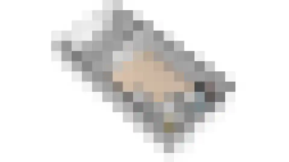 Botter 43 12 Lelystad thumbnail 47