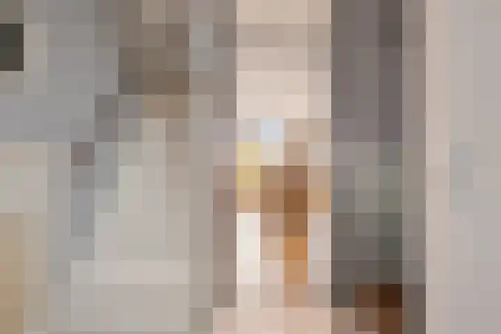 Botter 43 13 Lelystad thumbnail 10