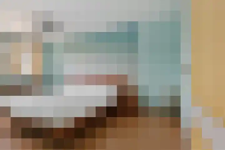 Botter 43 13 Lelystad thumbnail 12
