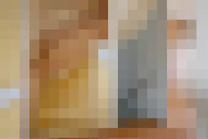 Botter 43 13 Lelystad thumbnail 20