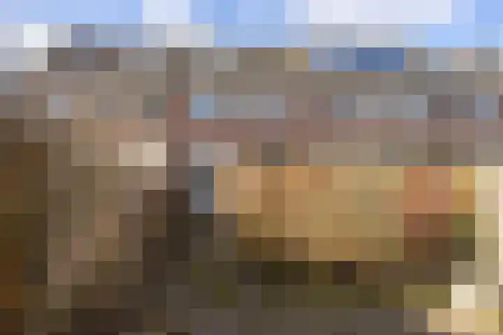 Botter 43 13 Lelystad thumbnail 25